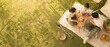 © Zaleman - Overhead view of family relaxing near a golden dog on picnic blanket spread across a sunny lawn, including tent, basket, fruit, leash and copy space