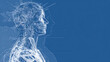 © Anton Popov - Futuristic anatomical human profile blueprint with transparent skeletal and neural structures on blue background, symbolizing medical innovation, biotechnology, AI and advanced healthcare