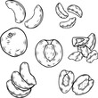 © Natalia - Fruit slices and halves line art sketch set for coloring book or menu design vector illustration