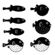 © @adha - Pufferfish Silhouettes: Normal and Inflated Fish Illustrations