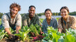 © Jani's Stocks - Diverse Group of Happy Young Farmers Harvesting Organic Vegetables in a Lush Sustainable Farm Field, Smiling People Working Together for Food Security, Agriculture, Ecology, and Healthy Lifestyle