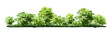 © Chanya_B - Vector watercolor of tree side view isolated on white background for landscape and architecture drawing, elements for environment and garden, painting botanical for section