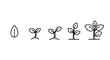 © Sujon Shah - Plant growth stages vector icon set showing seed germination and young sprout development into a small tree for nature environment gardening and agricultural life cycle concepts.