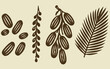 © Sumaia - date palm fruit bunch frond botanical illustration brown flat silhouette vector ramadan arabic organic food brand design