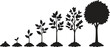 © Apurba - Black silhouette icons showing the growth stages of a tree from a small seed to a mature plant in a simple linear style
