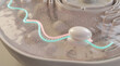 © OfficeFocus - 3D DNA Strand Ribosome mRNA Transcription Translation Cell Nucleus Biology Science Medical