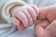 © Michael - Baby hand holding adult finger showing trust bond