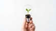 © Ohana - Human hand holding light bulb with small green plant inside on white background