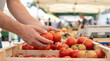 © praewpailyn - Fresh tomato in hand at outdoor market activities with wooden crate full of ripe red tomatoes ready for sale and healthy food choice in natural light