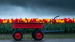 © Nattapol - Red toy wagon left alone at edge of vast field full of vibrant tulip blooming under gloomy stormy sky evoking lonely nostalgic emotion
