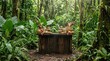 © Coosh448 - A wooden podium set in a lush tropical forest with a vibrant green backdrop, exotic product presentation scene with rich foliage and soft sunlight, ultra-realistic, no logos.
