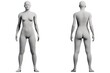 © Mihai Zaharia - Caucasian woman figure model 2-view front back collage