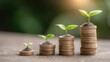© Generative AI - Financial growth and investment success represented by a growing plant on stacked coins, symbolizing prosperity and wealth