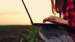 © TO LOVE - agriculture, woman farmer working laptop, farm field corn, modern farm business growing, agricultural tech sunset, tech-enhanced farming, farmer sunset productivity, digital farming tools, tech-savvy
