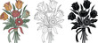 © Vector Store - Flower bouquet silhouette & Outline and illustration set isolated on transparent background