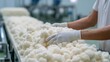 © 69 - Detailed View of Hands Working with Cotton Bales on a Production Line in a Modern Textile Facility