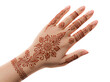 © Muhammad - Intricate Traditional Henna Mehndi Design on Hand with Floral Patterns