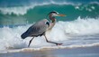 © Vadym - Great blue heron wades in ocean surf near sandy beach. Large bird with long legs walks through crashing waves under bright daylight. Coastal wildlife seeks food in turquoise water.
