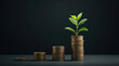 © siraphol - Young plant growing from stacked coin piles symbolizing financial growth and passive income