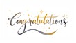 © Yuli1726 - Congratulations Text Calligraphy lettering. phrase with star shine text on white background