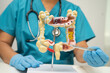 © amazing studio - Intestine, appendix and digestive system, doctor holding anatomy model for study diagnosis and treatment in hospital.