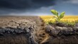 © Putra - Contrasting Landscape Showing Split Fields with Growth and Desolation