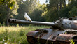 © Future Vision - Perching white dove balancing on rusted tank barrel in sunlit forest clearing, mossed metal