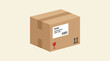 © Abhinaya Project - A brown cardboard parcel box with shipping labels.