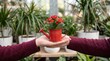 © Nurjahan - Person holding red watering can with small flowering plant in garden or greenhouse setting with potted plants