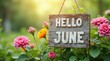 © Alex Pios - Hello June Background Banner. Rustic Wooden Sign Greeting June with Flowers and Green Background