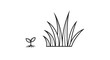 © Klip - Small plant next to grass.