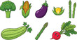© MehenajParvin - Colorful vegetable icons set including broccoli corn eggplant asparagus zucchini and radish for healthy food illustration