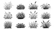 © ShazilStock - Natural meadow grasses icon collection in a clean ink outline style, featuring field plants, lawn patches, flowers, weeds, and wild vegetation.
