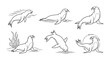 © Hayoh - Set of cute sea lion illustrations in various poses