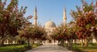 © Valentina - Peaceful mosque scene with blooming trees and dates.