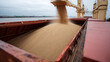 © A2Z AI  - Bulk dry cargo vessel loading grain, a pour of cereals into large hold. Marine transport of agricultural products and global food supply chain concept