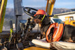 © Masarik - Dachshund dog wearing orange hard hat sitting at controls inside yellow excavator cab outdoors, funny construction operator humor concept.