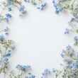 © Stefina - Delicate Blue Forget-Me-Not Flowers Frame a White Background.