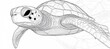 © Ilja - Intricate Outline Style Digital Drawing of a Sea Turtle for Wildlife and Marine Life Enthusiasts