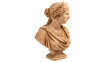 © Hanna - Classical marble bust statue of a human head for art history and museum education isolated on transparent background