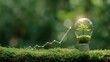 © Hasna - Lightbulb with tree inside, growing over moss, with ascending graph