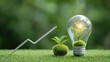 © X - Growing plant inside lightbulb, on moss, with upward trend graph