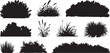 © Misho x Mamun - set of bush grass shrub silhouette vector transparent background. silhouette vector illustration
