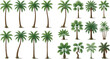 © MstRozina - Collection of Various Palm Trees Including Coconut, Date, and Tropical Palms with Different Shapes and Heights for Nature, Garden, and Landscape Concepts