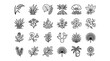 © BUDENGRMX - Vector Icons Set of Hand Drawn Botanical Elements and Plant Icons. EPS Editable