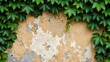 © vividstock - Green Ivy Foliage Framing Rustic Weathered Stone Background