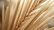 © balqiss - Close-up of Dried Palm Frond Texture and Detail.