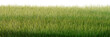 © Saharattaphum - green grass on white background/High-resolution panoramic green grass texture with sharp details, isolated on a clean background, perfect for nature and landscaping concepts.