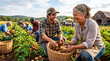 © Евгений Озолин - Cheerful community farmers harvesting potatoes together