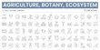 © AssetBud - Agriculture and botany line icon set with ecosystem, farming, plants, growth, soil and sustainability symbols, editable stroke vector icons for web, app UI and environmental design